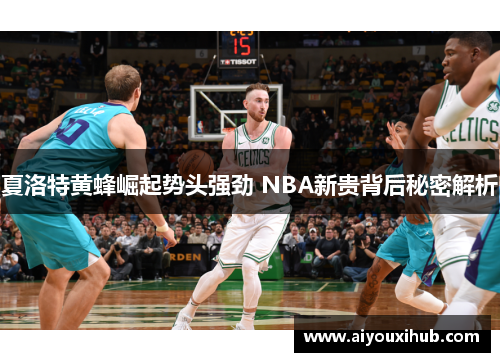夏洛特黄蜂崛起势头强劲 NBA新贵背后秘密解析