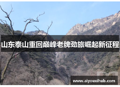 山东泰山重回巅峰老牌劲旅崛起新征程